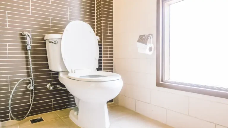 toilet in northeast vastu